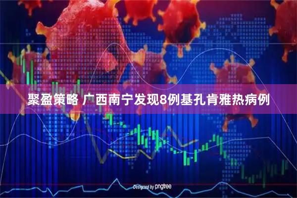 聚盈策略 广西南宁发现8例基孔肯雅热病例
